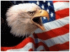 Eagle and American Flag logo